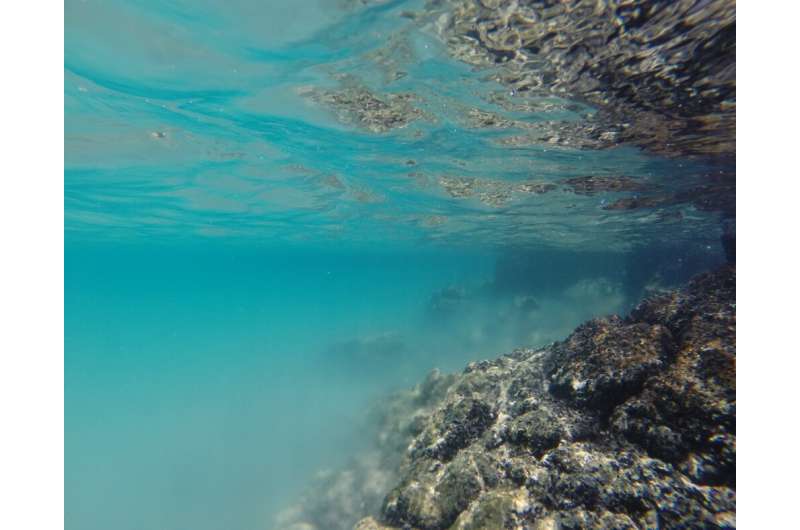 جزر و مد اقیانوس نگهبان تخلیه آب های زیرزمینی در منطقه ساحلی هاوایی است