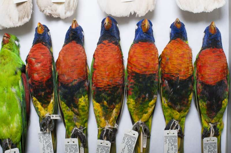 Old, goopy museum specimens can tell fascinating stories of wildlife history. Finally, we can read them