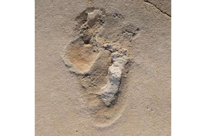 Oldest footprints of pre-humans identified in Crete