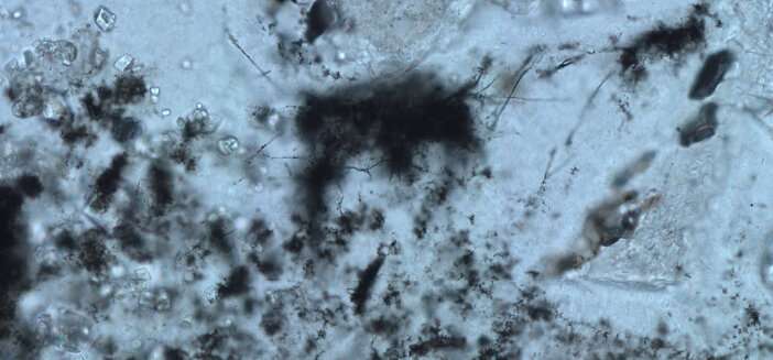 Oldest fossils of methane-cycling microbes expand frontiers of habitability on early Earth