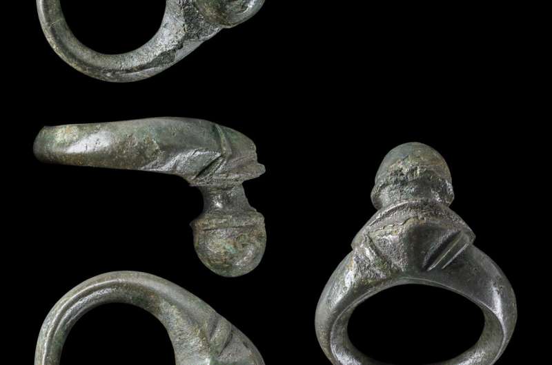 One of the biggest Iron Age weapon hoards in western Germany unearthed