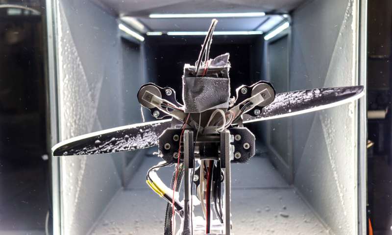 Livraison de colis à votre porte par drone maintenant un pas de plus