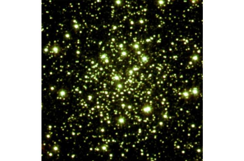 Palomar 6 globular cluster investigated in detail