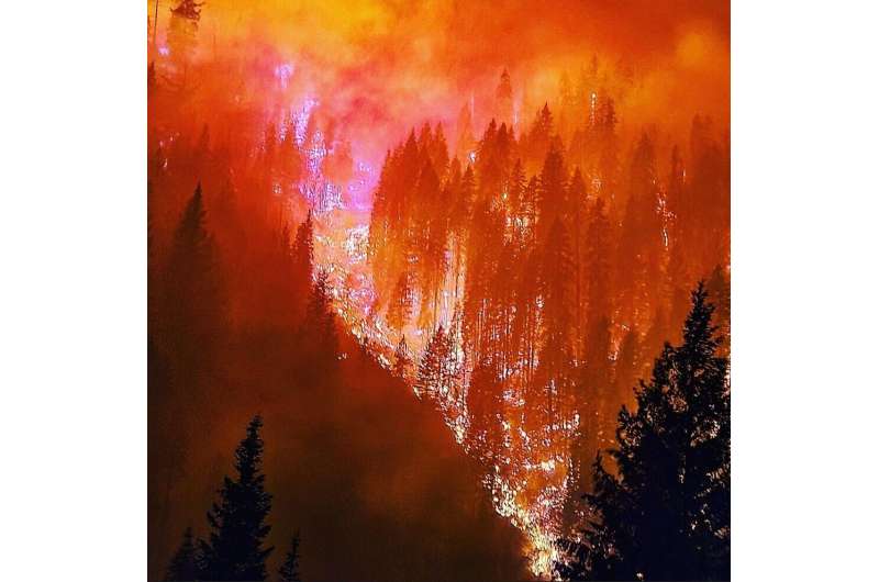 Past fires may hold key to reducing severity of future wildfires in western US