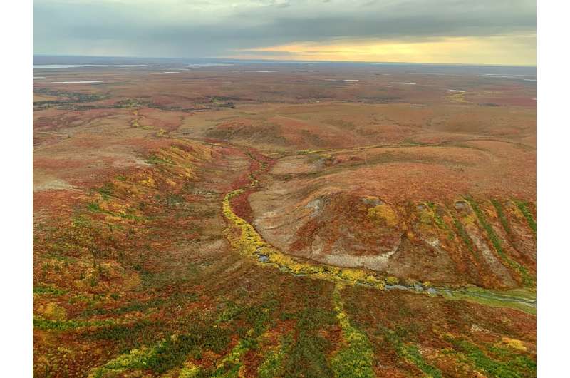 Peatlands protect against wildfire and flooding, but they’re still under attack in Canada