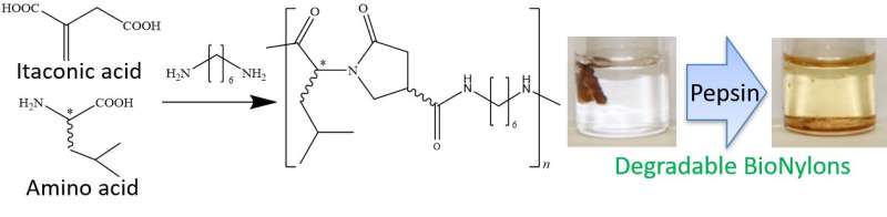 Pepsin-degradable plastics of bio-nylons from itaconic and amino acids