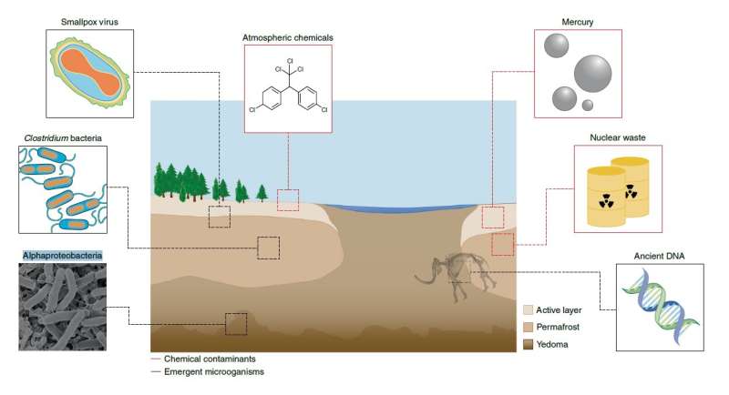 Permafrost thaw could release bacteria and viruses