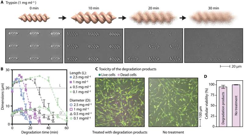 Personalized 3-D magnetic micromachines from patient blood-derived biomaterials