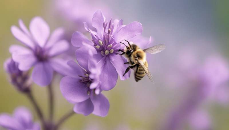 Pesticides: interactions between agrochemicals increase their harm to bees