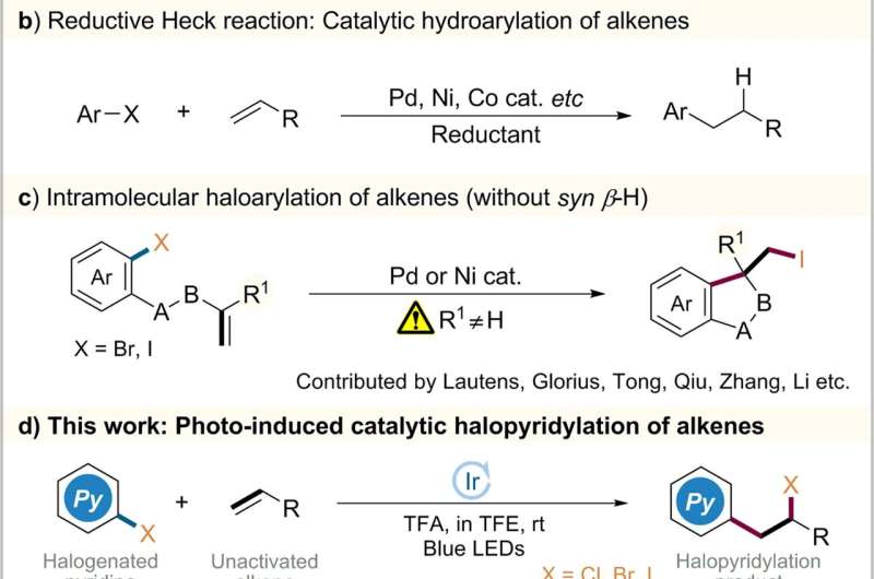 Photoredox Catalysis Realizes Halopyridylation of Alkenes