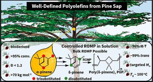 Pine sap–based plastic: A potential change for future of sustainable materials