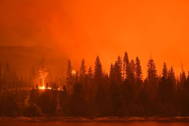 Planting trees to soak up CO2 is fine—until the forests burn down in climate-fuelled wildfires