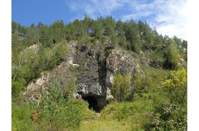 Pleistocene sediment DNA from Denisova Cave