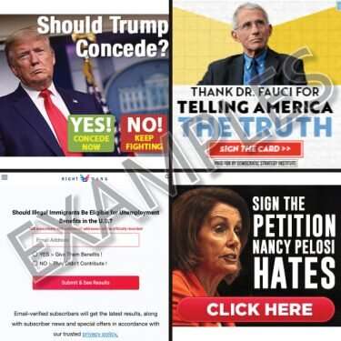 Political ads during the 2020 presidential election cycle collected personal information and disseminated misleading information