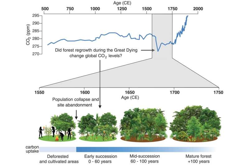 Pollen study shows forest regrowth began hundreds of years before arrival of Europeans in Amazonia 
