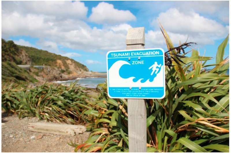 Pre-Kaikoura survey found gaps in Kiwis' tsunami awareness