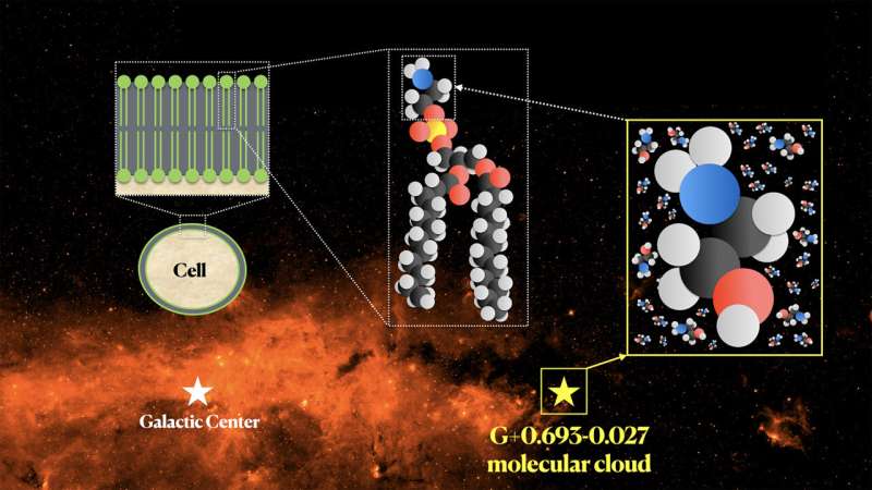 Prebiotic ethanolamine found in a molecular cloud near the center of the Milky Way