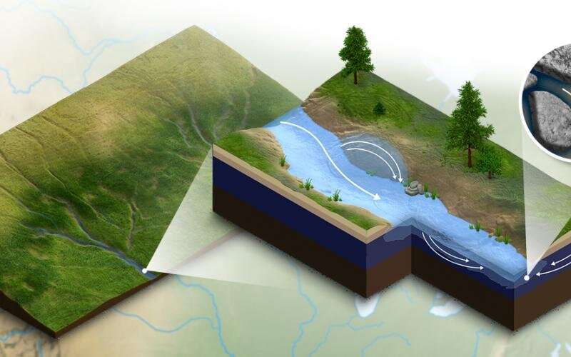 Predicting water quality via biogeochemical modeling