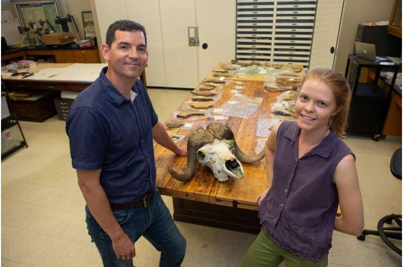 Prehistoric horses, bison shared diet