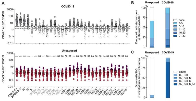 Prior exposure to common cold coronaviruses enhances immune response to SARS-CoV-2