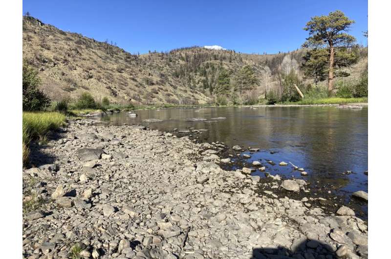 Prized trout streams shrink as heat, drought grip US West