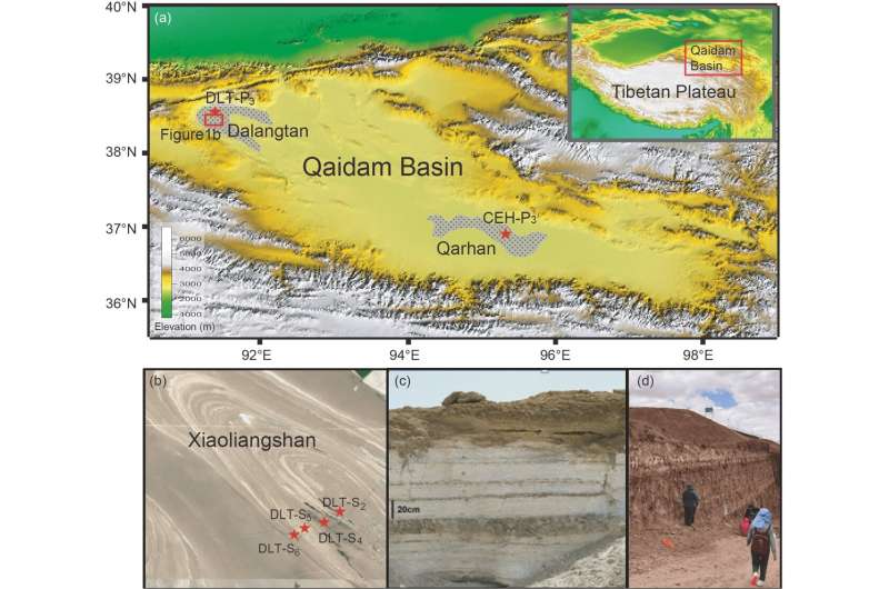 Probing into life on Mars: implication from analog sites in Qaidam Basin, northwestern China
