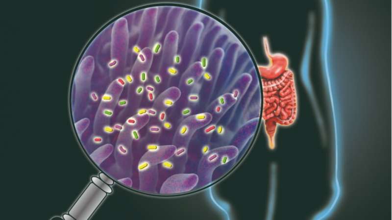 Probiotics or prebiotics? Exploring the complex world of ‘gut’ health
