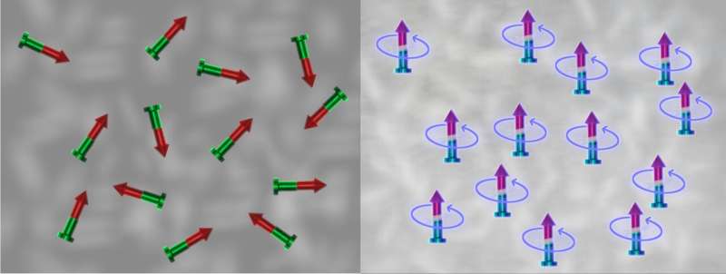 Programmable interaction between quantum magnets