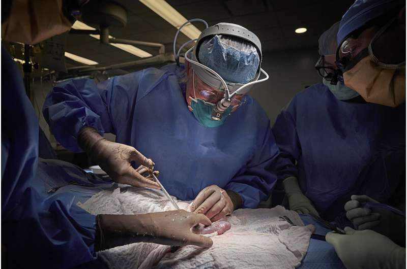 Progress in xenotransplantation opens door to new supply of critically needed organs