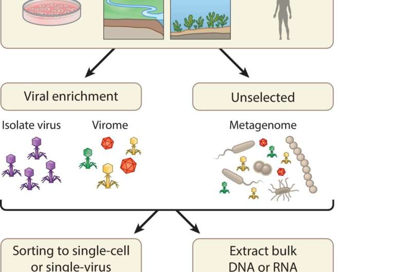 Promoting the power of viral metagenomics