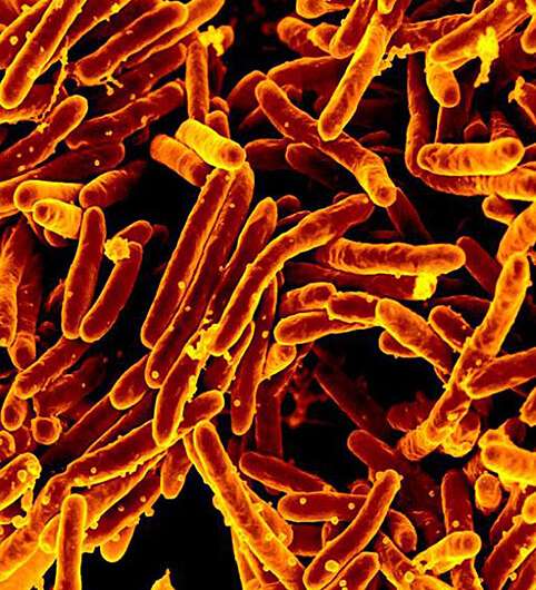 Purdue University, Houston Methodist researchers develop novel strategy for tuberculosis vaccine