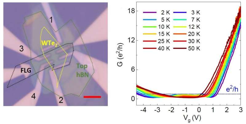 Quantifying spin in WTe2 for future spintronics