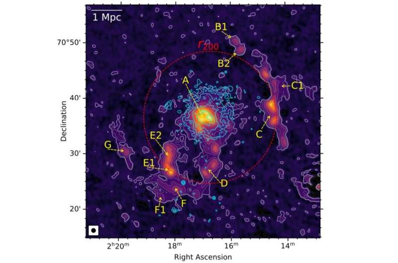 Radio sources in the galaxy cluster ClG 0217+70 inspected by astronomers
