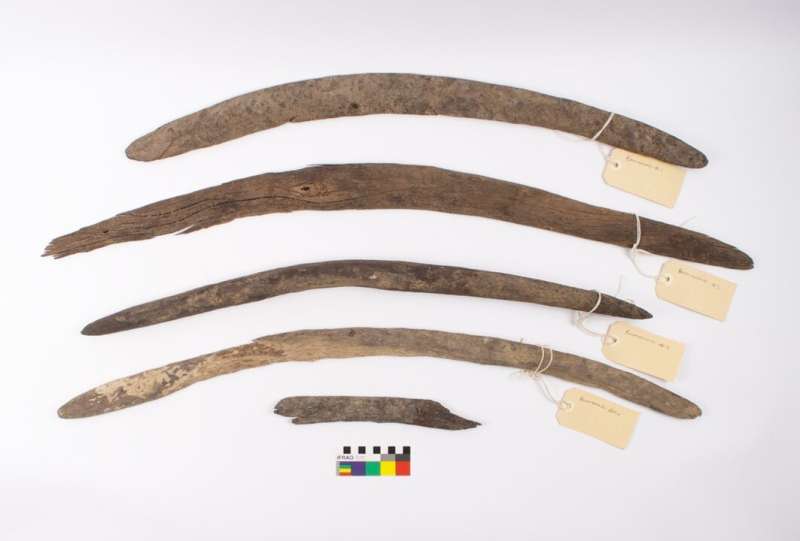 Rare boomerang collection from South Australia reveals a diverse past