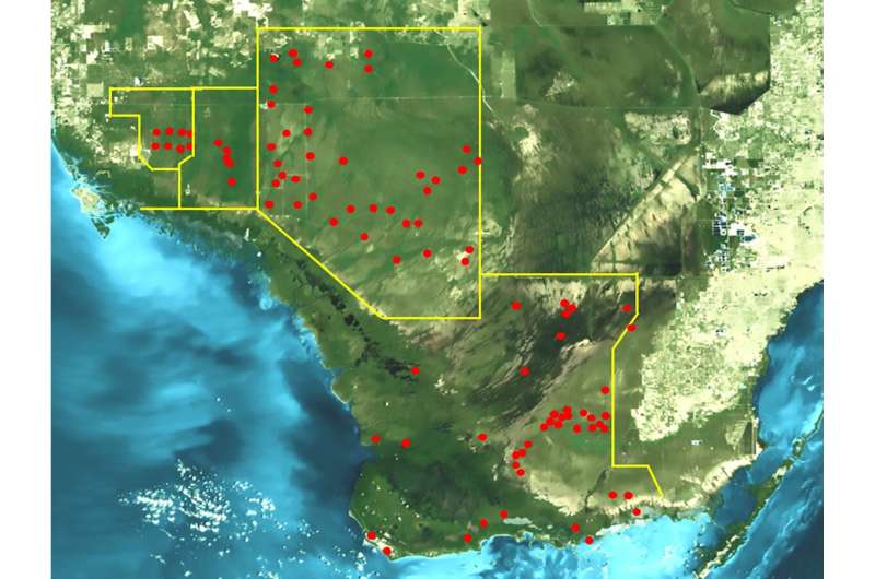 Rare mosquito-borne viruses found to be widespread in Florida Everglades