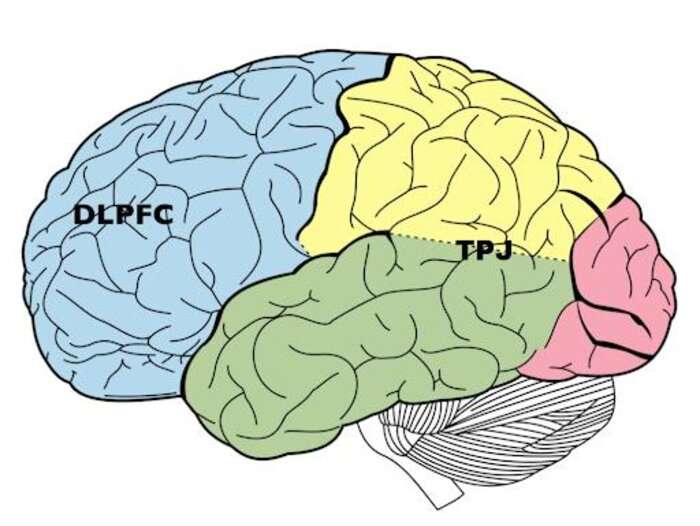Readiness to punish others for selfish behaviour explained by functional brain connections