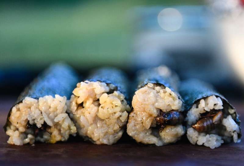 Ready for tasting—fried cicadas in a sushi roll