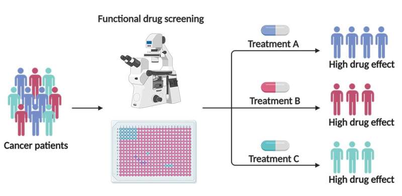 Redox imaging allows measurement of drug responses in lab-grown cancer samples