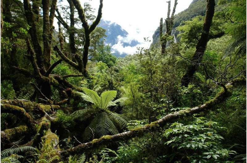 Regenerative farming likely to increase native biodiversity on New Zealand farms
