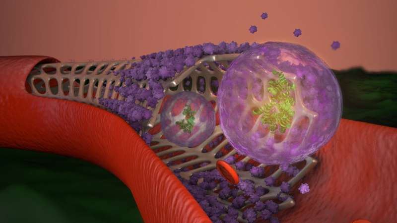 Reopen and regenerate: Exosome-coated stent heals vascular injury, repairs damaged tissue