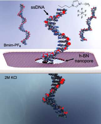 Research advances emerging DNA sequencing technology