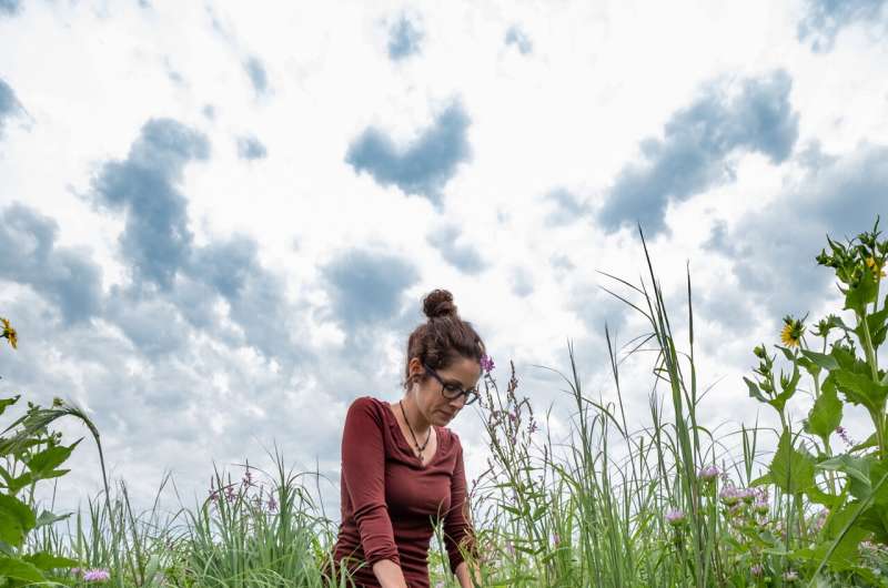 Research enhances understanding of switchgrass, an important bioenergy crop