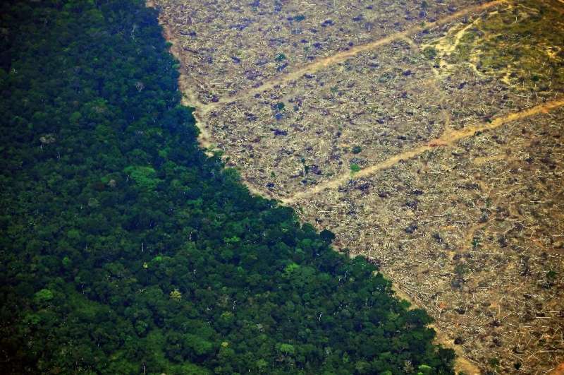 Research has warned that massive destruction of tropical forests combined with climate change are pushing the Amazon towards a '