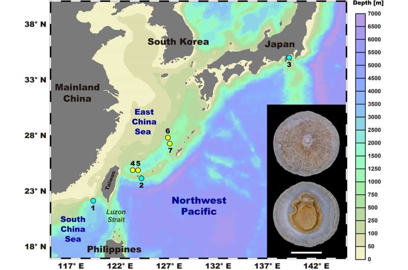 Research jointly led by HKUST and HKBU Unlock Biogeographical Secrets of Deep-sea Limpets