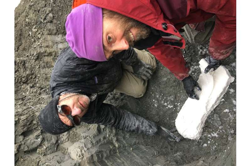 Research team discovers Arctic dinosaur nursery