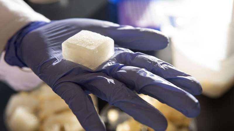 Researchers develop ice cube that doesn’t melt or grow mold