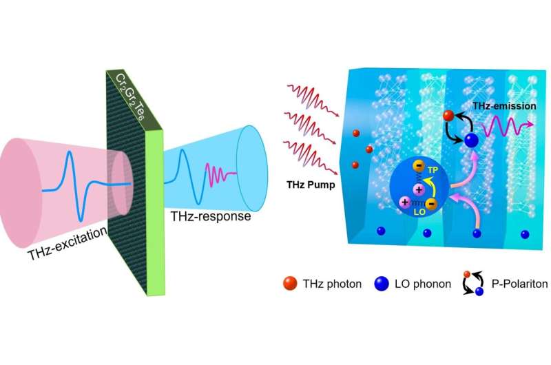 Researchers develop new phonon-based and magneto-tunable monochromatic terahertz source