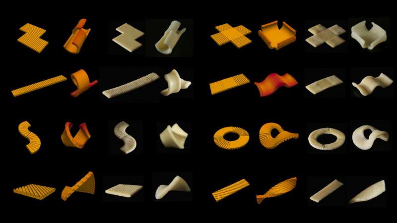 Researchers develop pasta that morphs into shape when cooked