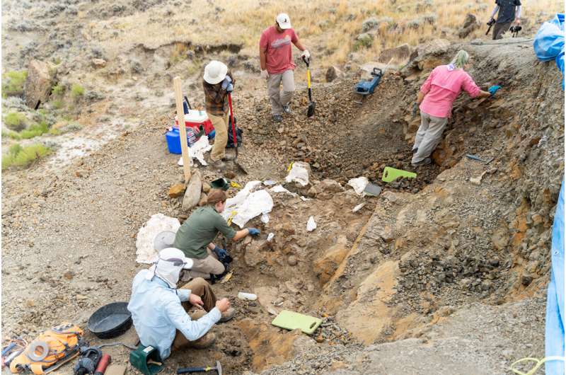 Researchers discover four dinosaurs in Montana: Fieldwork pieces together life at the end of 'Dinosaur Era'