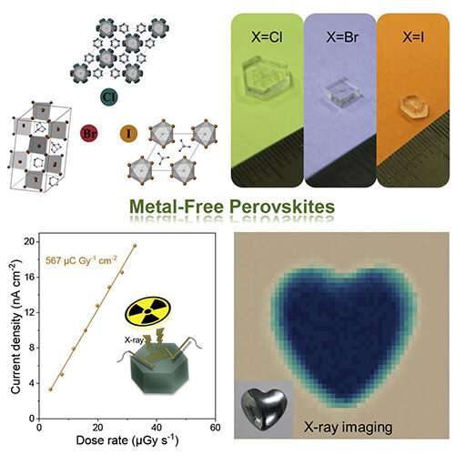 Researchers fabricate bio-friendly X-ray detectors based on metal-free perovskite single crystals